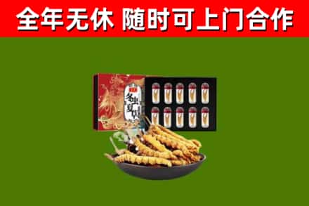 潍坊烟酒回收冬虫夏草礼盒.jpg